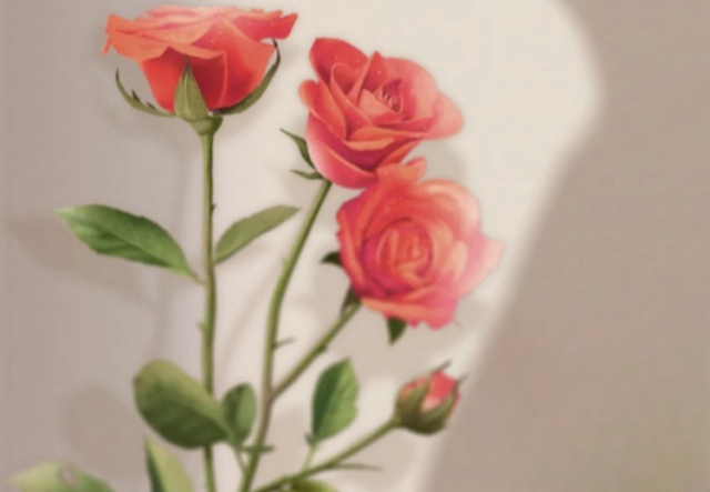 祝天下女神們節(jié)日快樂(lè)！?。? ></a>
                        <a href=